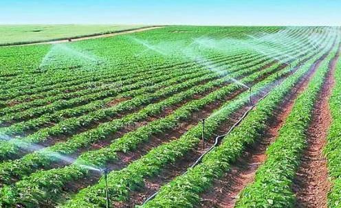 大吊肏小穴视农田高 效节水灌溉